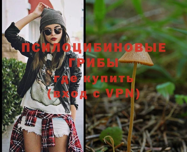 ешки Армянск